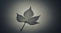 A delicate leaf is centered on a textured, neutral-toned surface. The leaf features Royalty Free Stock Photo