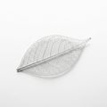 A delicate leaf skeleton is displayed against a white background Royalty Free Stock Photo