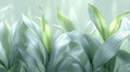Delicate light-green and pale-grey foliage Royalty Free Stock Photo