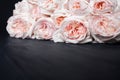 Delicate light pink roses black wooden background close up, beautiful white and red flowers bouquet on dark wood,greeting card Royalty Free Stock Photo