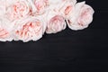 Delicate light pink roses black wooden background close up, beautiful white and red flowers bouquet on dark wood, greeting card Royalty Free Stock Photo