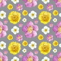 Grey seamless delicate watercolor pattern of lovely flowers Royalty Free Stock Photo