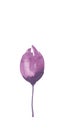 delicate lilac watercolor spring flower bud