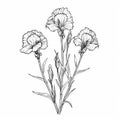 Delicate Line Drawing Of Carnation Shaped Snapdragon Flowers