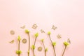 Delicate little leaves from open buds on branches-sprouts on a pink background. Spring, the beginning of a new life, tenderness. Royalty Free Stock Photo