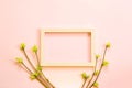 Delicate little leaves from open buds on branches-sprouts on a pink background. Spring, the beginning of a new life, tenderness. Royalty Free Stock Photo