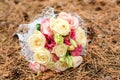 Delicate lush beautiful fresh wedding bouquet of cream roses, pink and green eustoma flowers in a white wrapper in a pine forest. Royalty Free Stock Photo