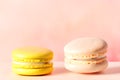 Delicate Macaron Delights: Elegant Treats for Every Occasion