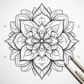 Delicate Mandala Flower Outline Drawing For Coloring Book