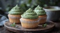 Delicate matcha cupcakes, light and airy Royalty Free Stock Photo