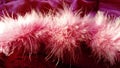 Delicate natural swan pink fluff. Hood feather trim. Fluffy boa feathers over dark pink faux fur, natural light from above and to
