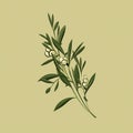 Delicate Olive Tree Branch: A Minimalist Kitchen Still Life