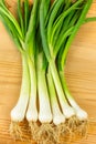 Delicate onion Royalty Free Stock Photo