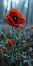 Delicate Overlords: A Poppy-Frosted Tribute in the Misty Fields