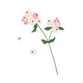 Delicate pale pink snowberry twig. Botanical element for decoration. Colorful flat vector illustration isolated on white