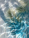 Delicate palm leaves casting intricate shadows and reflections on shimmering water surface in a serene and tropical setting with Royalty Free Stock Photo