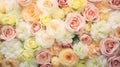 delicate pastel roses background