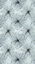 Delicate Pattern of Spiderwebs in a Repeating Design Royalty Free Stock Photo