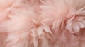 Delicate Peach Feathers in Soft Abstract Ethereal Texture. GenerativeAI