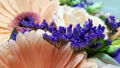 Delicate peach gerbera with rose flower in the package