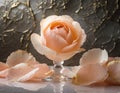 A delicate, peach-pink apricot and rose petal sorbet, with thin, gold leaf accents