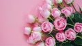 Delicate pink background with blooming roses in close up view Royalty Free Stock Photo