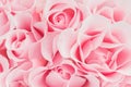 Delicate pink background of blooming roses Royalty Free Stock Photo