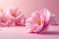 Delicate pink blossom close-up on a soft pink background, featuring a single flower in sharp focus with others softly blurred in Royalty Free Stock Photo