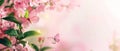 Delicate pink blossoms and fluttering butterflies welcome the whispers of spring on a backdrop of soft hues