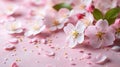 Delicate pink blossoms on a pastel pink background Royalty Free Stock Photo