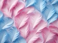 Delicate pink and blue feathers arranged in a soft, flowing pattern.