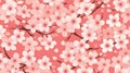 Delicate Pink Cherry Blossoms Spring Floral Pattern Background Royalty Free Stock Photo