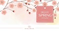 Delicate pink cherry blossoms and spring greeting tag Royalty Free Stock Photo