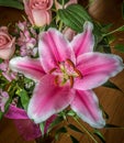 Delicate pink daylily and rose