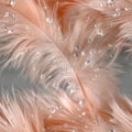 Delicate pink feathers rest softly, adorned with tiny droplets that reflect light, creating a serene and calming scene SEAMLESS Royalty Free Stock Photo