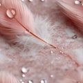 Delicate pink feathers rest softly, adorned with tiny droplets that reflect light, creating a serene and calming scene SEAMLESS Royalty Free Stock Photo