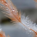 Delicate pink feathers rest softly, adorned with tiny droplets that reflect light, creating a serene and calming scene SEAMLESS Royalty Free Stock Photo