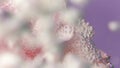 A delicate pink flower under water with bubbles. Stock footage.Bright bubbling bubbles with a flower placed in water
