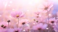 Delicate pink flowers bathed in soft sunlight emanating sense of natural beauty and serenity Royalty Free Stock Photo