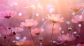 Delicate pink flowers bathed in soft sunlight emanating sense of natural beauty and serenity Royalty Free Stock Photo