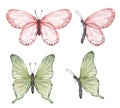 Delicate pink and green butterfly Clipart Set, Watercolor Insects illustration, Butterflies clip art, Wedding Invitation, Logo Royalty Free Stock Photo