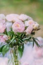 Delicate pink peonies close-up, beautiful flowers in the summer garden, natural pleasant background Royalty Free Stock Photo