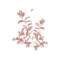 Delicate pink plant, leaves, brevity for your designs