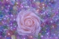 Pink rose on a beautiful purple background of beads