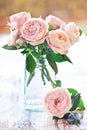 Delicate pink roses