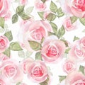 Delicate roses. Hand drawn watercolor floral seamless pattern Royalty Free Stock Photo