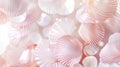 Delicate pink seashells softly illuminated, creating a serene atmosphere, ideal for conveying relaxation and harmony in