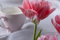 Delicate pink tulips on a blurry breakfast background with a light pink large mug of milk in the folds of a linen cloth.