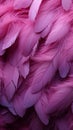 Delicate purple bird feathers create a soft and artistic background