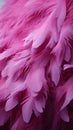 Delicate purple bird feathers create a soft and artistic background